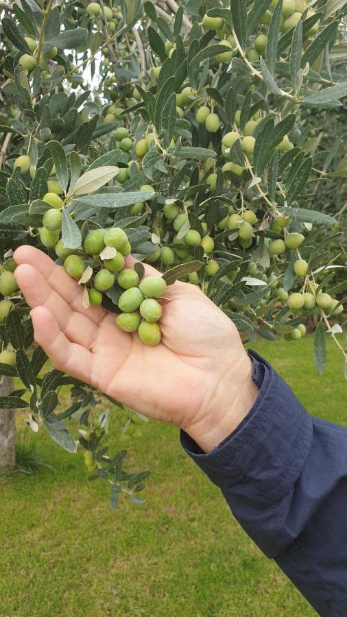 Suite La Torretta - Ca' Del Volo Grezzana Kültér fotó